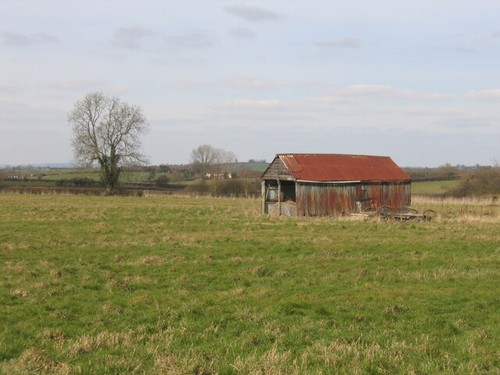 Tin barn rather dilapidated - a,