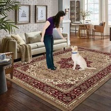Traditional Large Rugs Living
