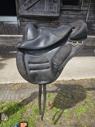 Torsion treeless saddle - torsion,