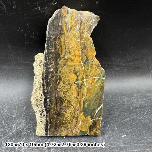Opalised petrified fossil