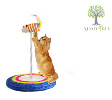 Interactive cat kitten spring - kitten,