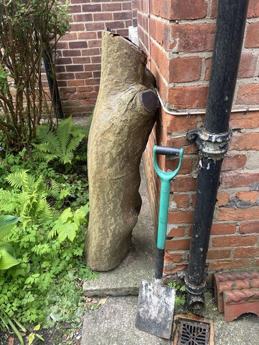 Green laburnum log - green,