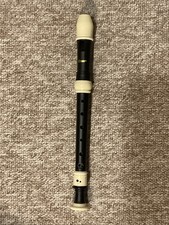 Recorder Workshop 301PK