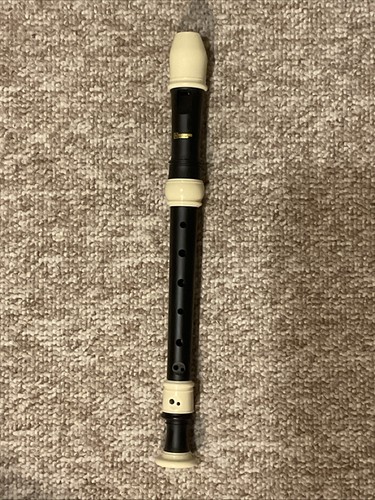 Recorder workshop 301pk - recorder,