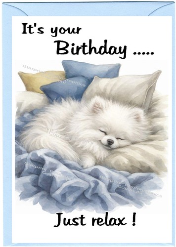 Pomeranian white dog - white, birthday