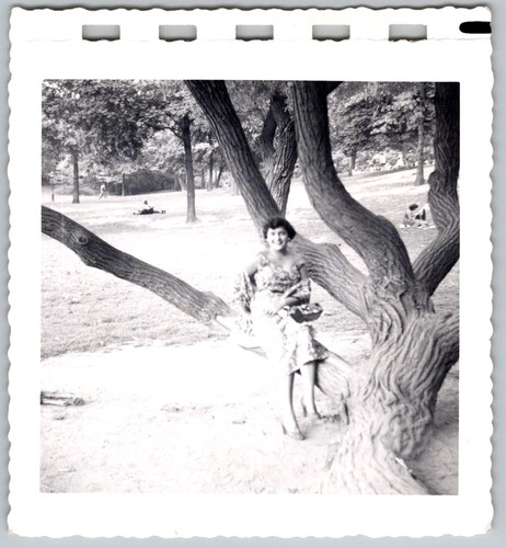 Vtg snapshot woman sitting - snapshot,