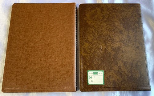 Old diary 2books nude - diary,