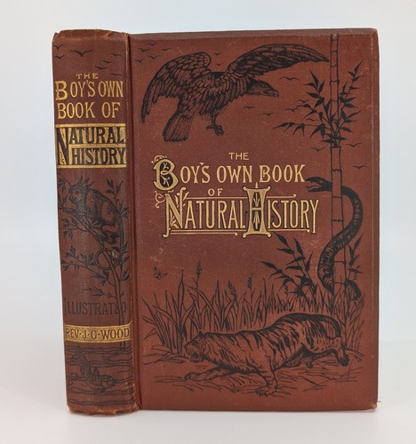The boy own book natural - boy's, of