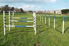 Dog Agility Equipment set 3