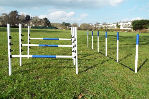 Dog agility equipment - agility, 3