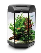 AquaEl Hexa 60L Tropical Fish