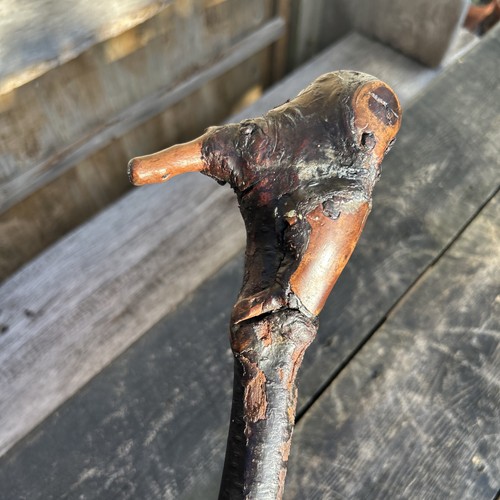 Irish walking stick shillelagh - walking,