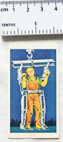 Lyons maid all systems - systems, go