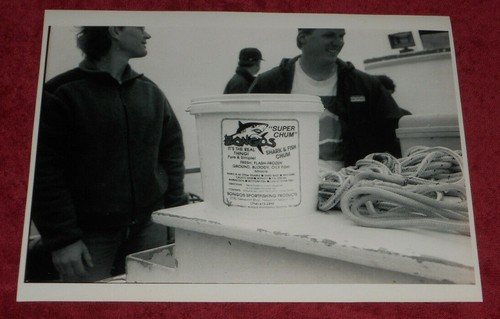 1992 press photo shark - 1992, chum