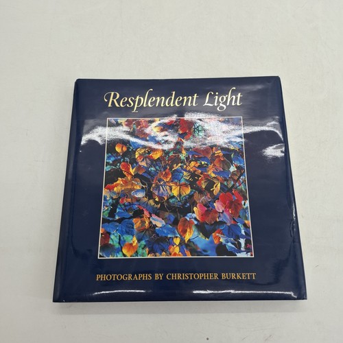 Resplendent light photobook - light,