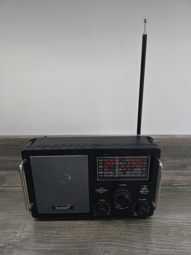 Steepletone world band - steepletone,