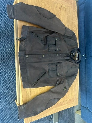Belstaff cougar gold - ,