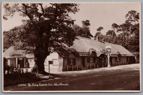 New forest hampshire the - -,