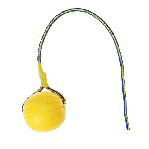 Dog outdoor play - outdoor, equipment