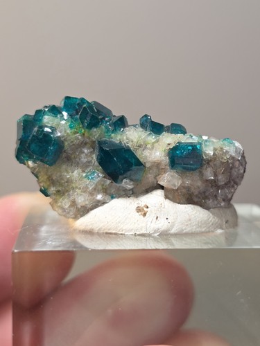 Choice dioptase crystal - choice,