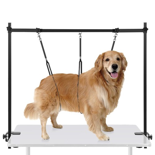 Dog grooming arm with - with, clamp