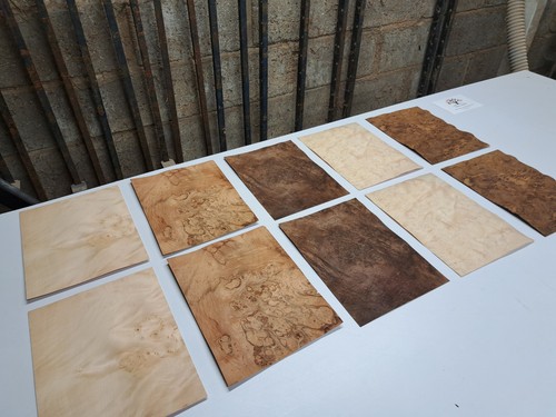 Wood veneer sample - sample,