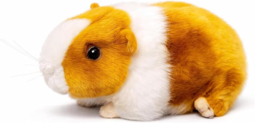 Cuddly toy guinea pig - cuddly,