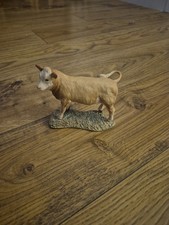 charolais border fine arts