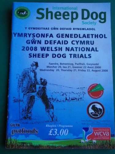 Welsh national sheep - national,
