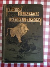 Woods Illustrated Natural History by Rev. J. G. Wood with 480 pics by W. Harvey
