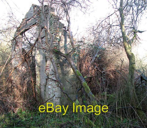 Photo 6x4 remains the - of,