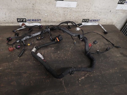 Engine wiring loom - engine, touran