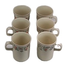 Roseberry Wedgwood Set 6 Coffee Mugs Floral Print Oven to Table Benefits Charity