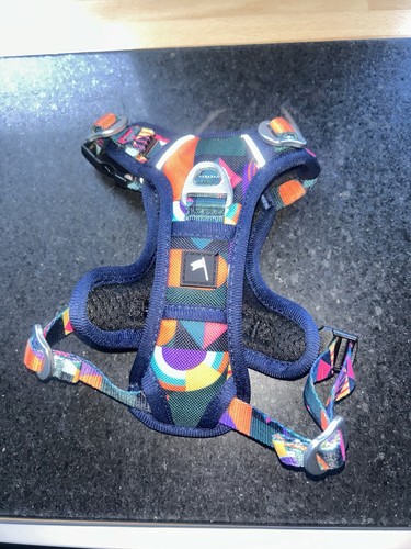 Twiggy tags adventure dog - -,