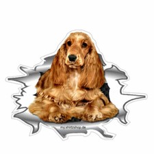 My Best Friend On Board Cocker