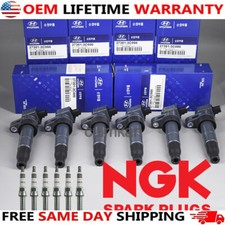 6 Ignition Coil & NGK Iridium