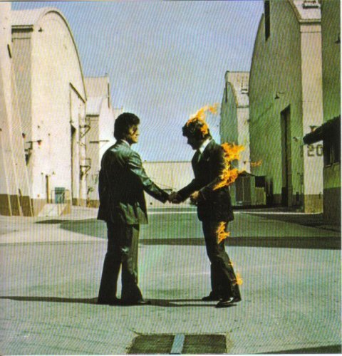 Pink floyd wish you - pink,