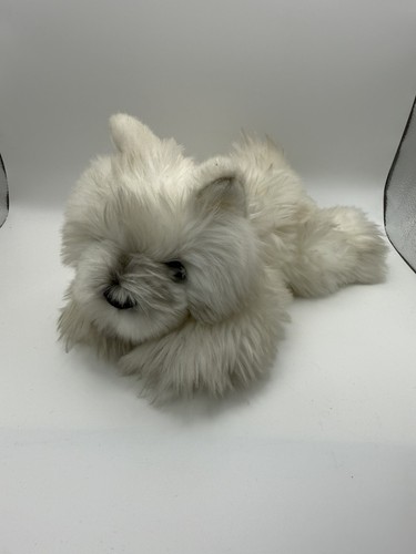 Harrods fluffy westie puppy - westie,