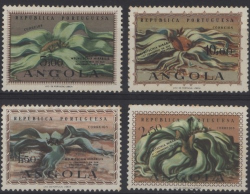 Angola 1959 discovery - angola, of