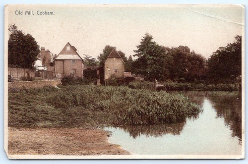 Cobham surrey postcard - cobham,