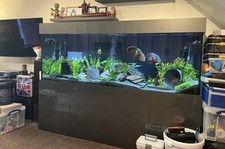Aquarium Fish Tank with Full