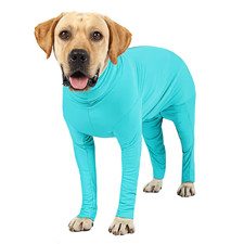 Etdane Dog Onesy Surgery