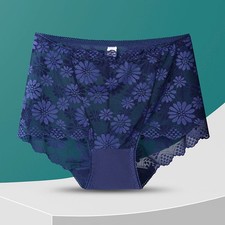 Womens Full Brief Lace Front
