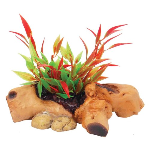 Repstyle driftwood with - repstyle, plant