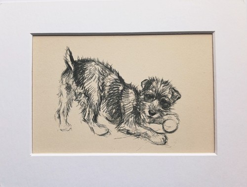 Terrier puppy dog - , sketch