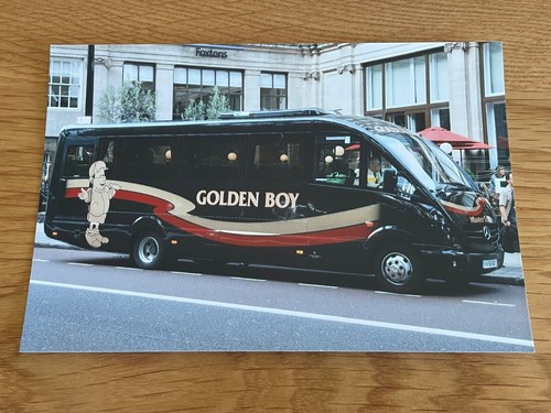 Golden boy coaches - golden, (vv58boy)