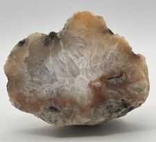 Scottish Agate - L56.7mm x