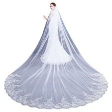 4M One-Layer Women Trailing Cathedral Long Wedding Veil Embroidered Floral Lace