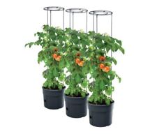 Tomato Grower Pot Planter