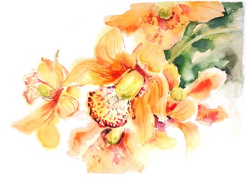 Orchid artwork watercolor - orchid,